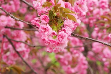 上海青浦区线下个人借款平台一站式服务，轻松解决资金难题