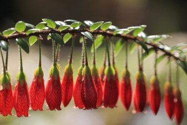 上海青浦区零用贷短借：轻松解决临时资金需求