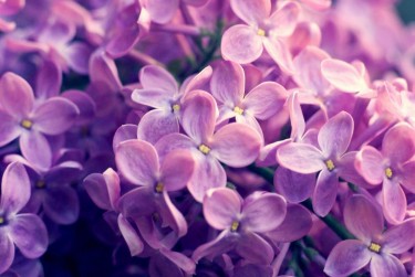 上海青浦区企业急用钱贷款攻略：快速融资解燃眉之急